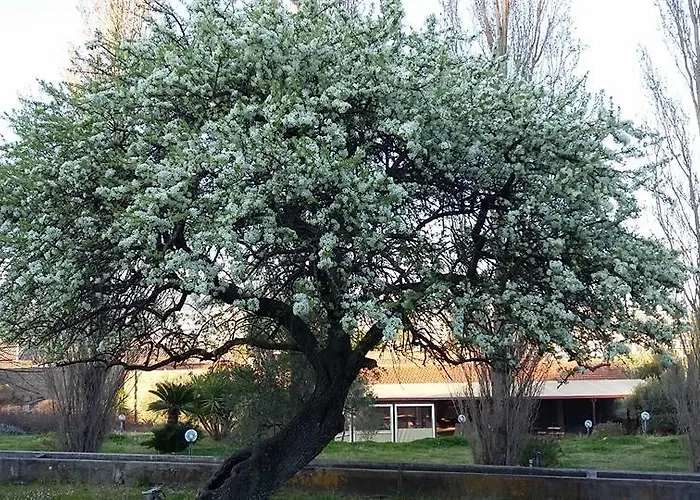 Villa Il Pero Selvatico Catanzaro